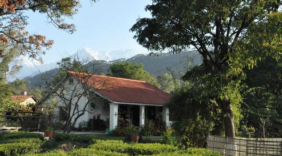A view of the garden and the range.