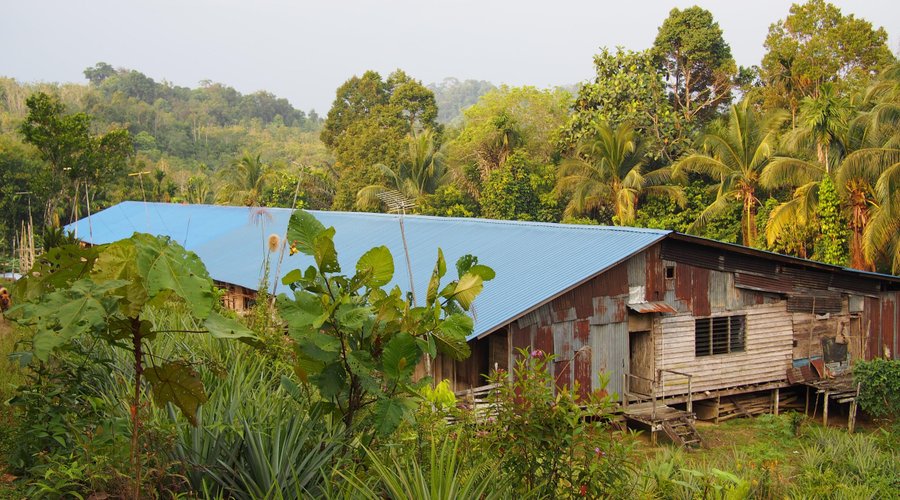 The longhouse