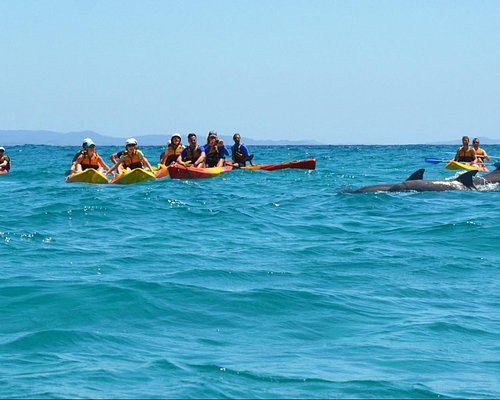 Home - Kayak Tours Byron Bay