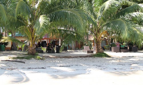 Nemo Cafe -Cafe on the Beach @ Havelock Island Beach Resort