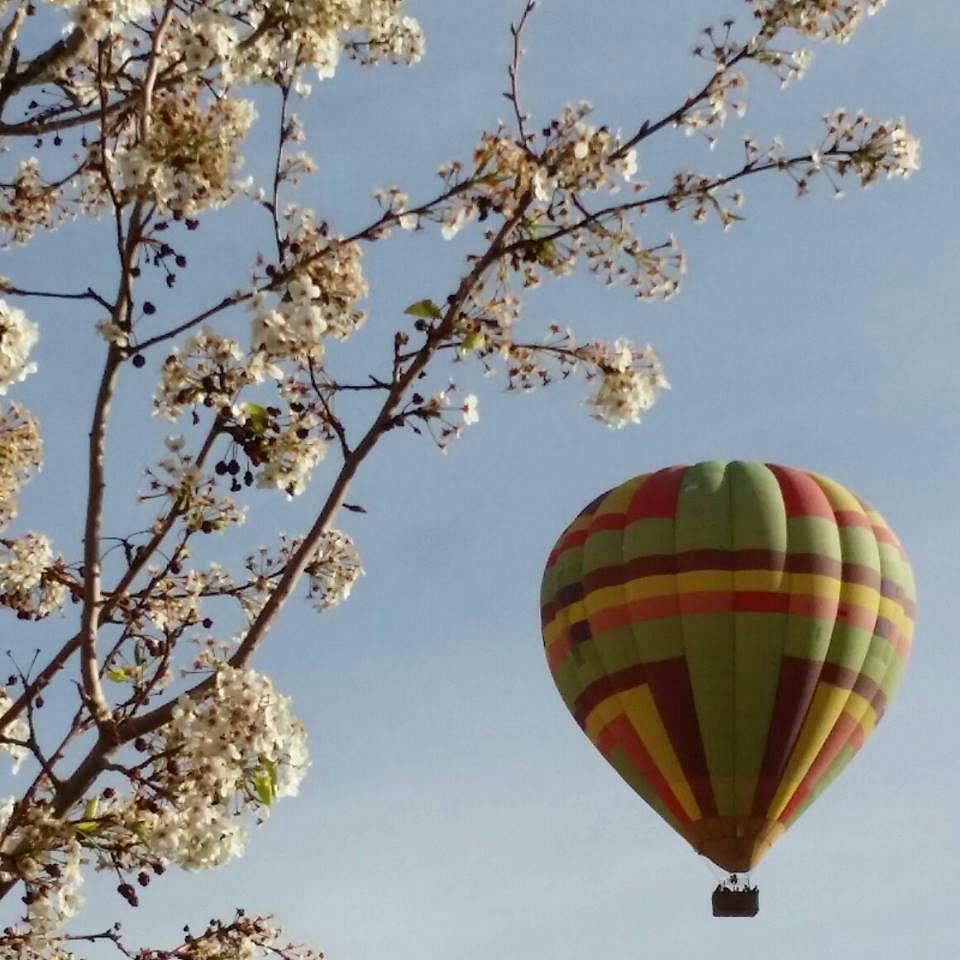 The balloon at the Paris Hotel in Vegas - Picture of Paris Las Vegas,  Paradise - Tripadvisor