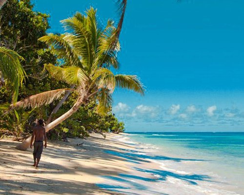 Maqai Beach Eco Surf Resort