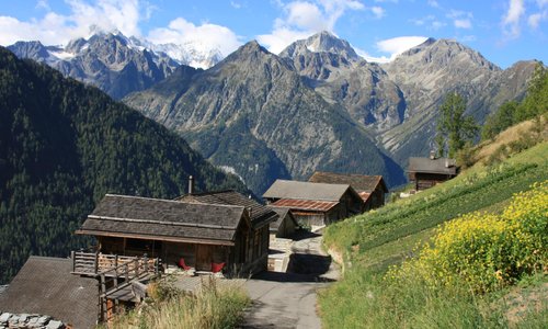 Village and hillside garden
