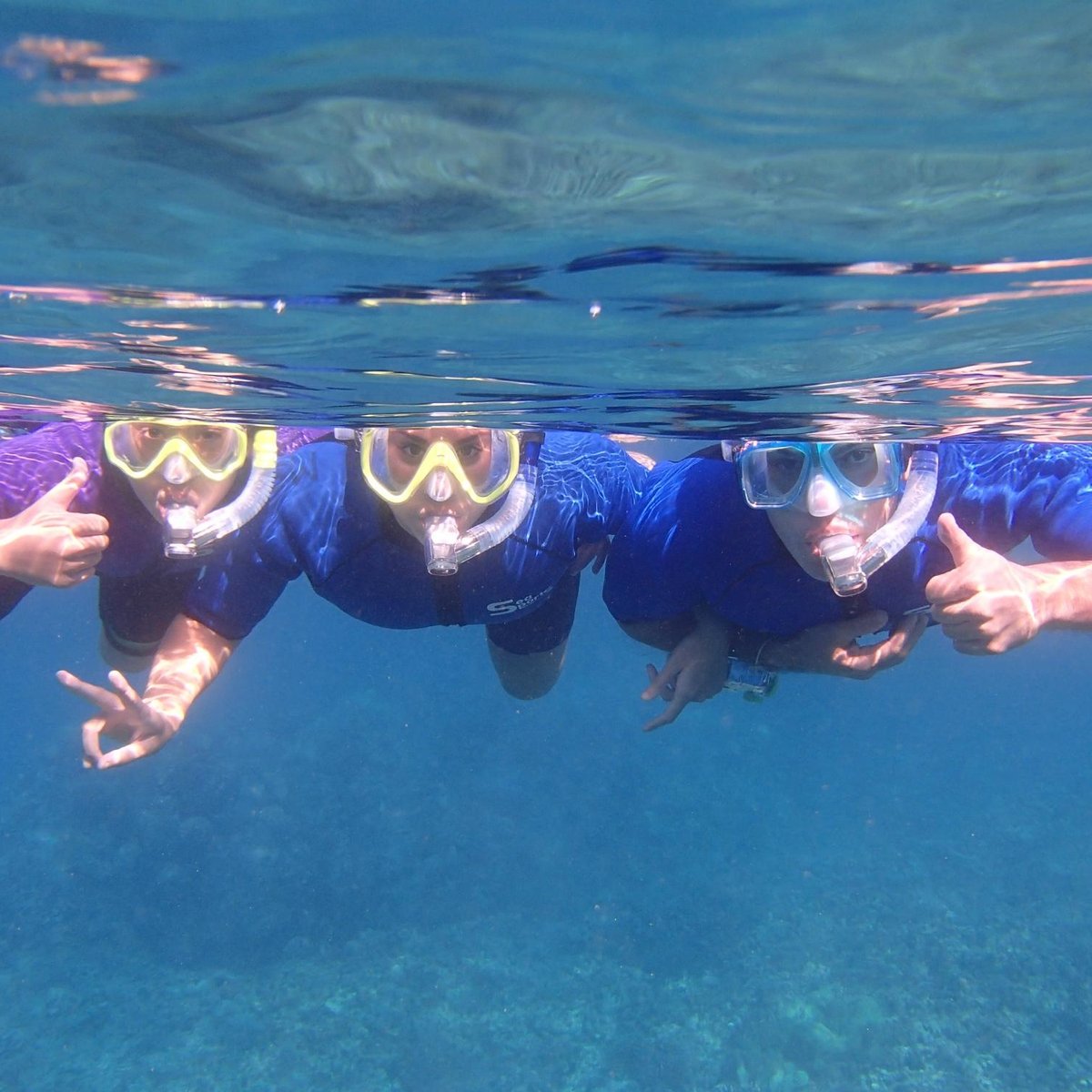 Maui Snorkel Tours - All You Need to Know BEFORE You Go (2024)