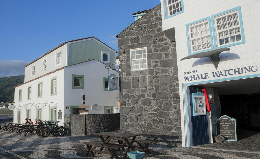 Our whale watching base i s5 meter from the hotel