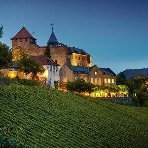 Schloss Eberstein mit Weinbergen