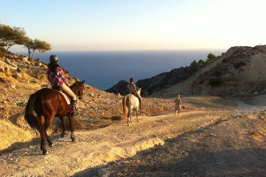 Alexandros Riding Stables image