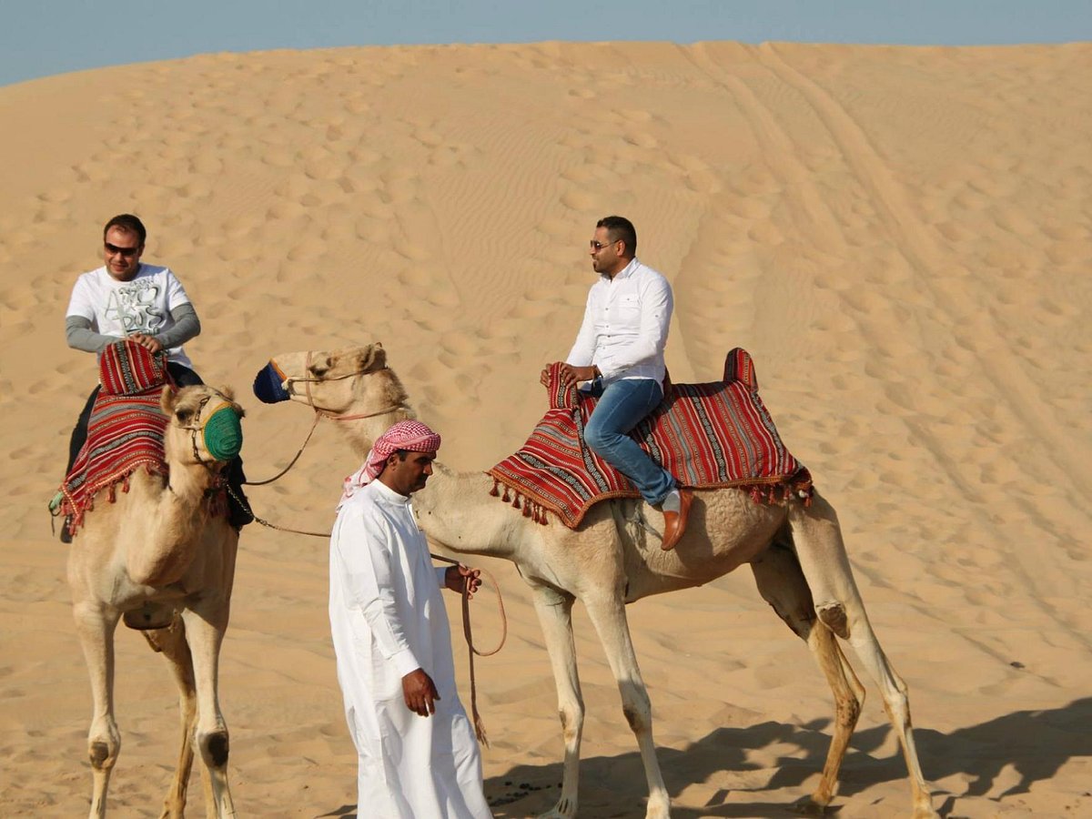 abu dhabi desert safari tripadvisor