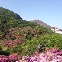 2014년 5월의 니타토게에서 본 묘겐다케
