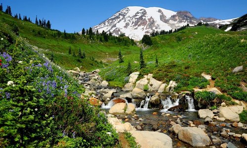Edith Creek at Paradise