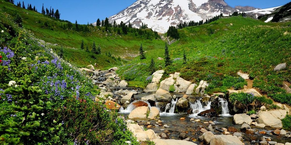 Washington 2024 Best Places to Visit Tripadvisor