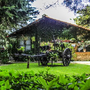 Casa del Mozaico