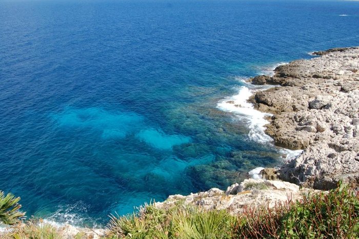 The Sea