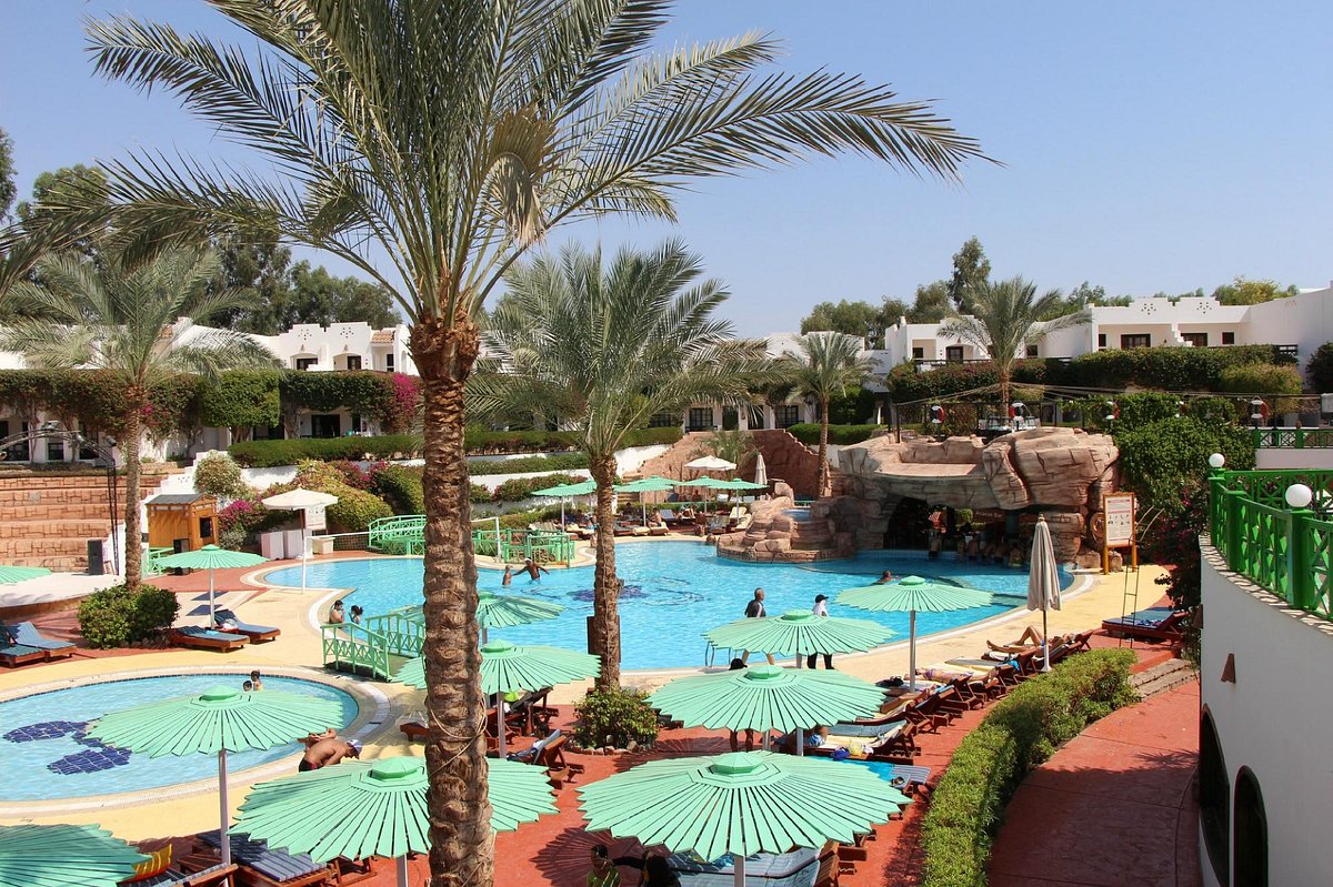 Verginia sharm resort 4 египет. Verginia Sharm Resort & Aqua Park. Дворец 1001 ночь Шарм-Эль-Шейх. Verginia Sharm Resort & Aqua Park 4*. Голубая Лагуна Египет Шарм-Эль-Шейх.