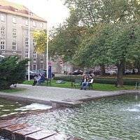 Jasne Błonia