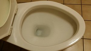 Urine covered toilet