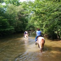 Riverside Riding Stables - All You Need to Know BEFORE You Go (2024)