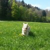 Nathalie C