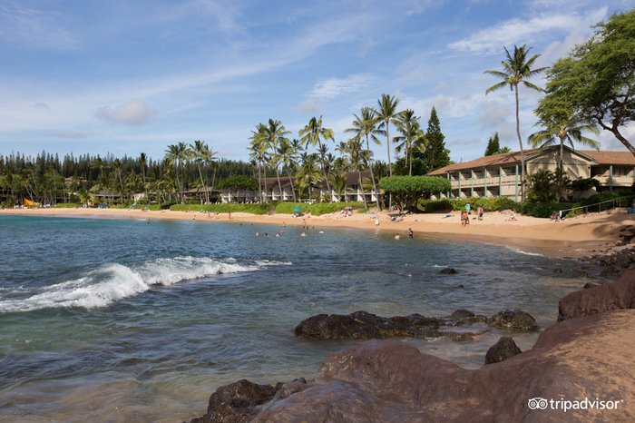 Napili Shores Maui by Outrigger Pool: Pictures & Reviews - Tripadvisor