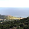 Casaerbaea