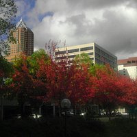 Kion Building with the colors of autumn.