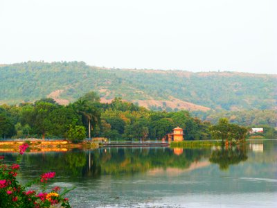 Picture of Sagwara