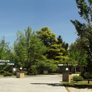 The Park