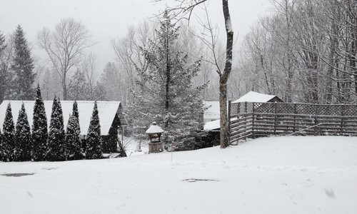 Winter Grounds