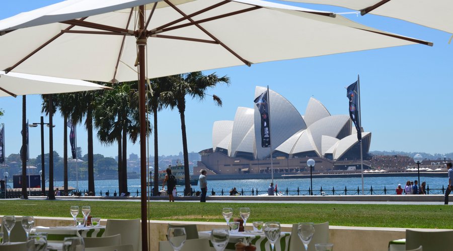 GRAZE MCA View