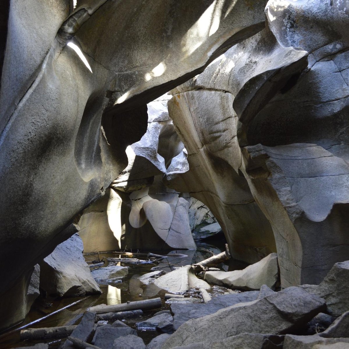 Grottos Trail near Independence Pass - Aspen Trail Finder