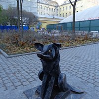 собака