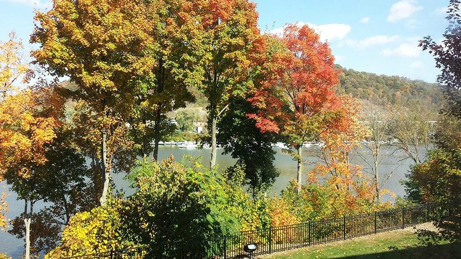 Taken from a 2nd floor room October 17, 2014