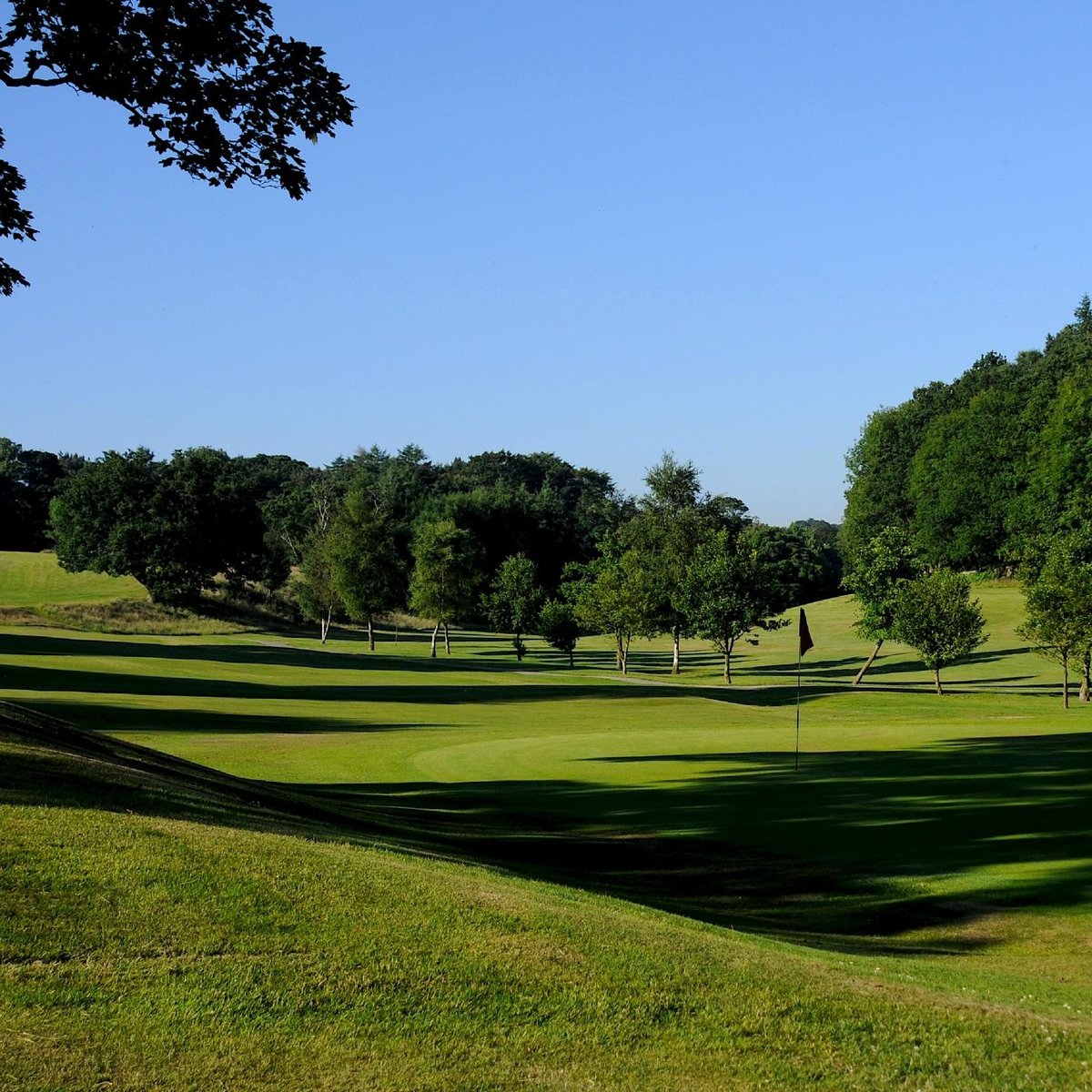 Shrigley Hall Golf Course - All You Need to Know BEFORE You Go (2025)