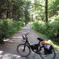 The trail beside Hyde Creek