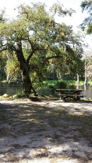 FISHEATING CREEK CAMPGROUND - Updated 2024 Reviews (Palmdale, FL)