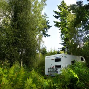 Camping in the Forest