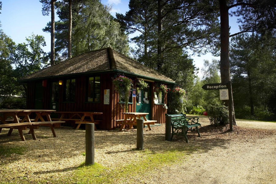 New Forest Campsites Map Setthorns Campsite - Updated 2022 Reviews (Brockenhurst)