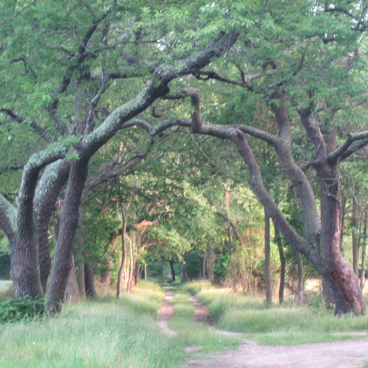 Heckscher State Park (East Islip) All You Need to Know BEFORE You Go