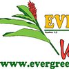 EvergreenManagement