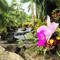 Feel the nature, relax and enjoy!