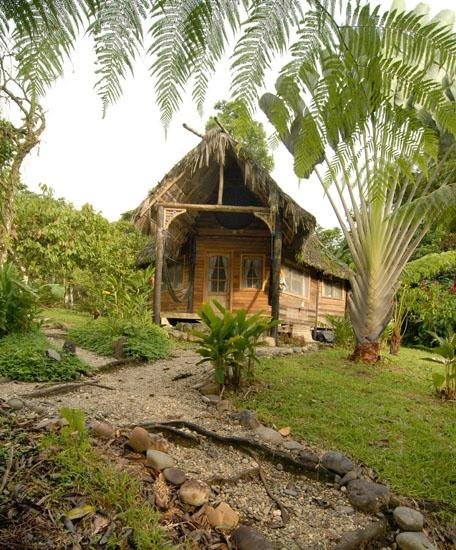 ARAJUNO JUNGLE LODGE - Reviews (Tena, Ecuador)