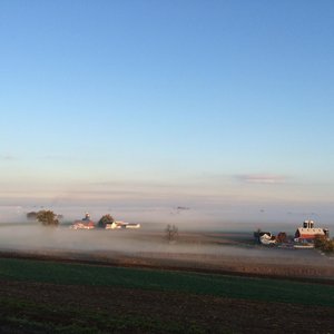 Misty Meadows