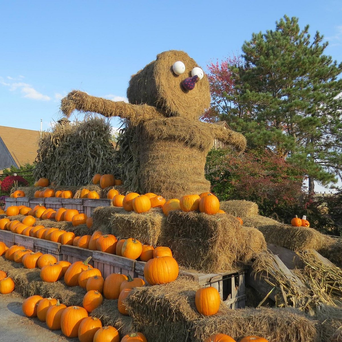 Fruit farm. Lull Farm.