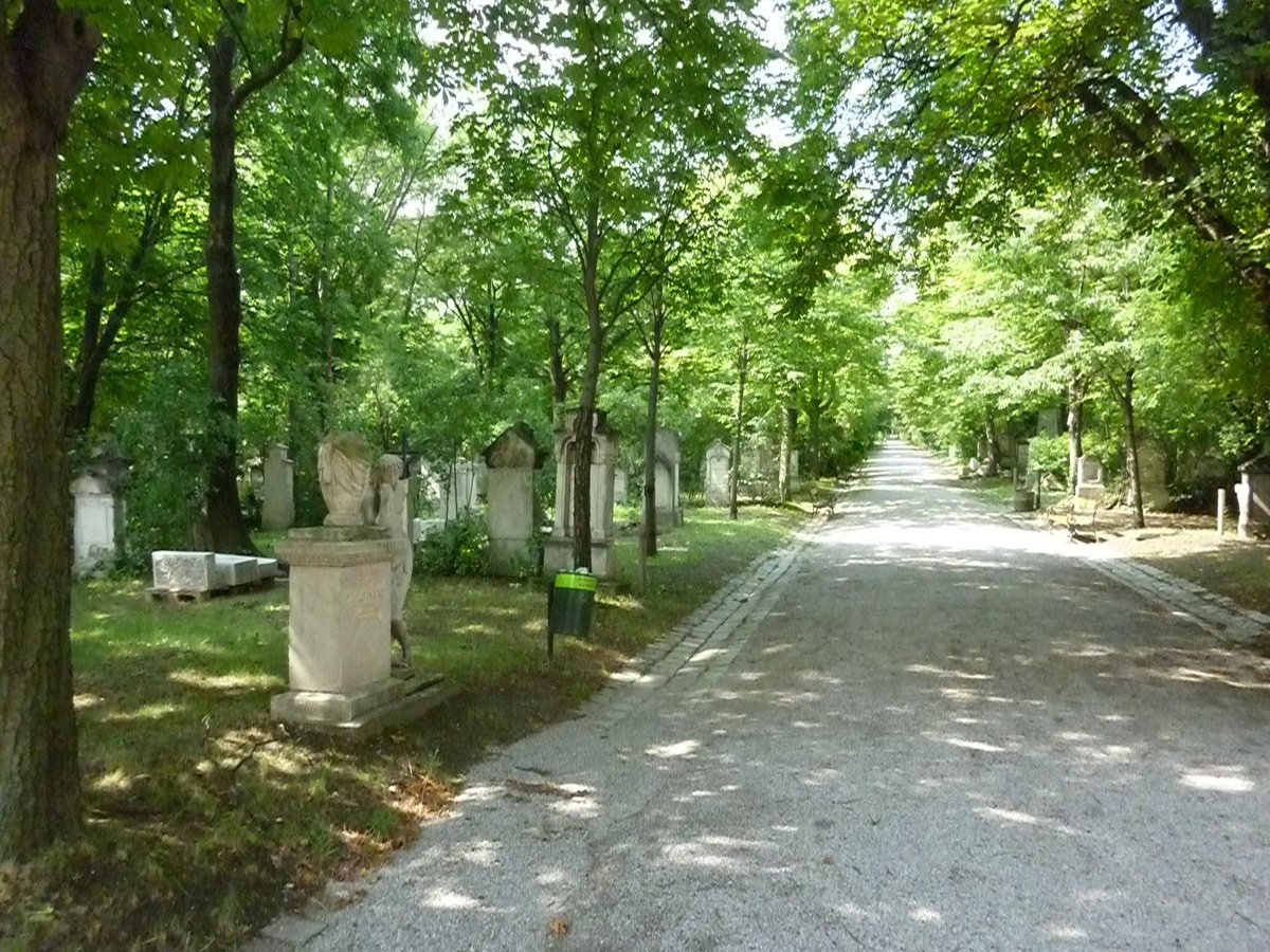 Wildlife Watching in Vienna Cemeteries