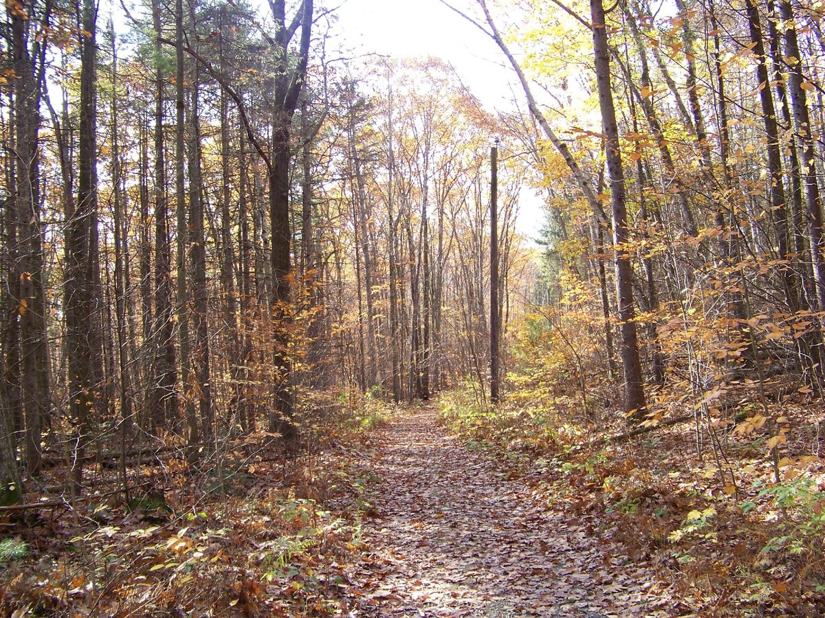 Pittsfield State Forest Photos