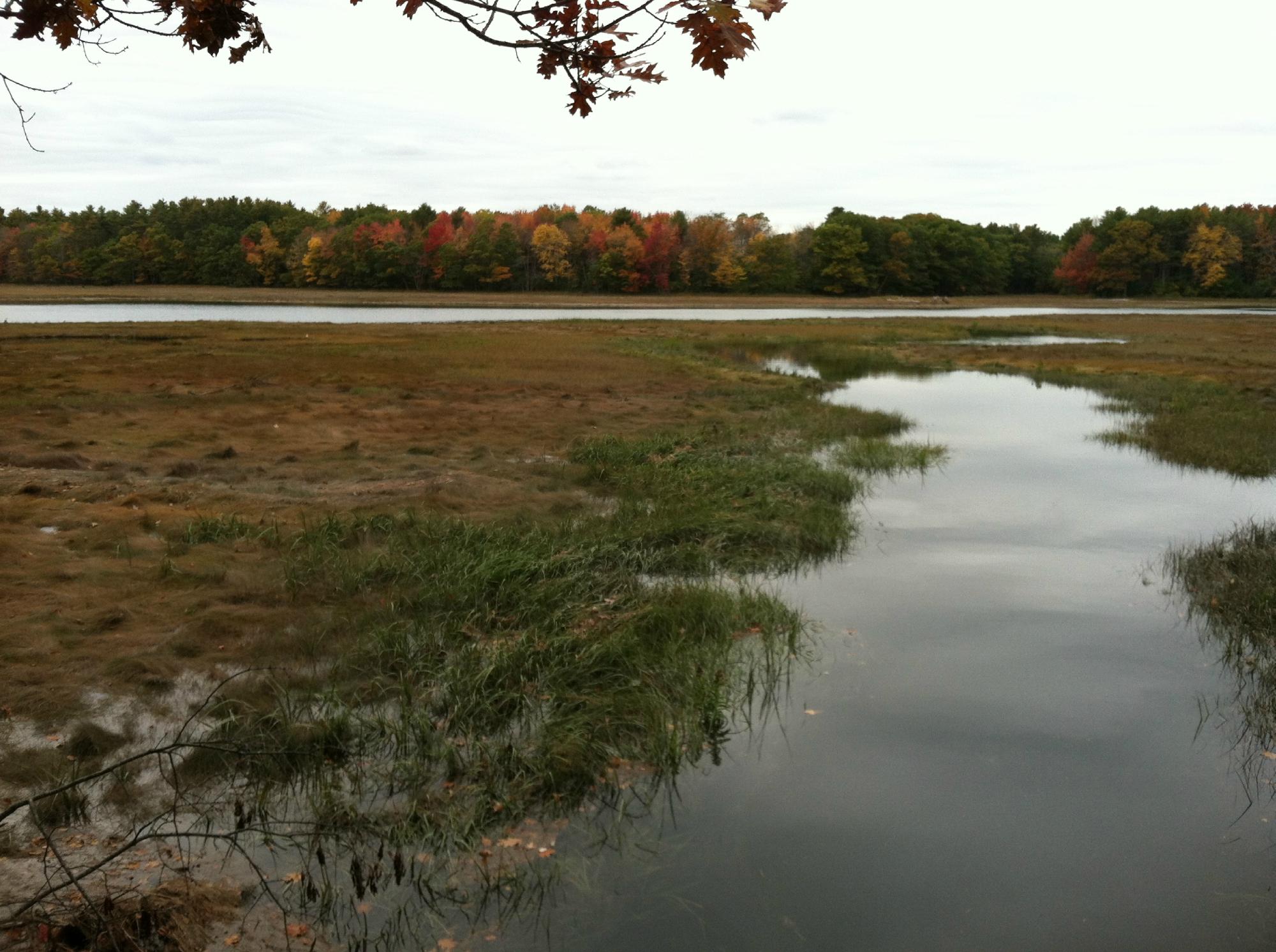 Kennebunks 2024 Best Places To Visit Tripadvisor   Kennebunk Bridle Path 