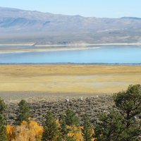 McGee Creek (Mammoth Lakes) - All You Need to Know BEFORE You Go