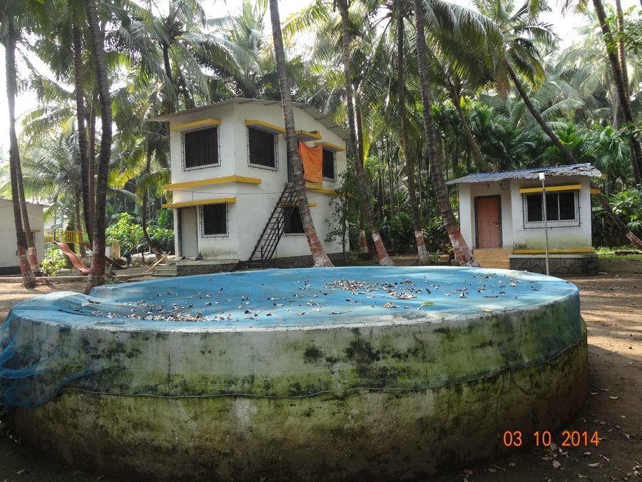 Kawale Cottage Varsoli Beach Holiday Resort Hotel Reviews Alibaug India Tripadvisor See more of varsoli beach, alibag on facebook. kawale cottage varsoli beach holiday