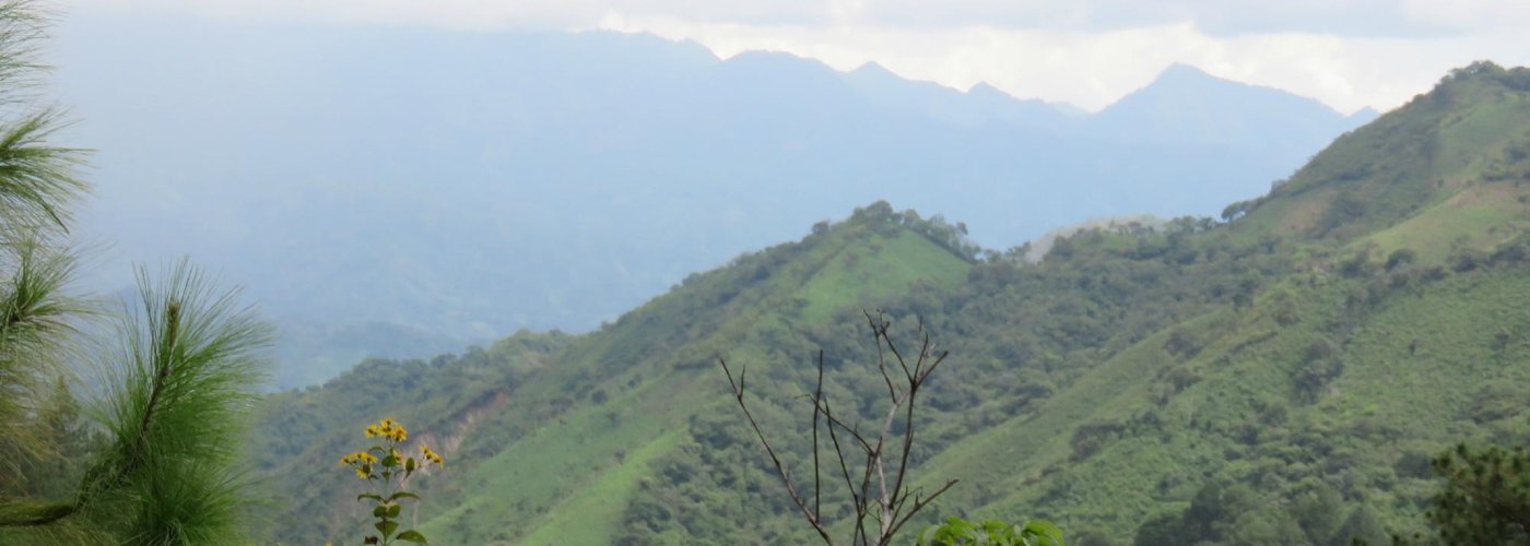 View on drive to park