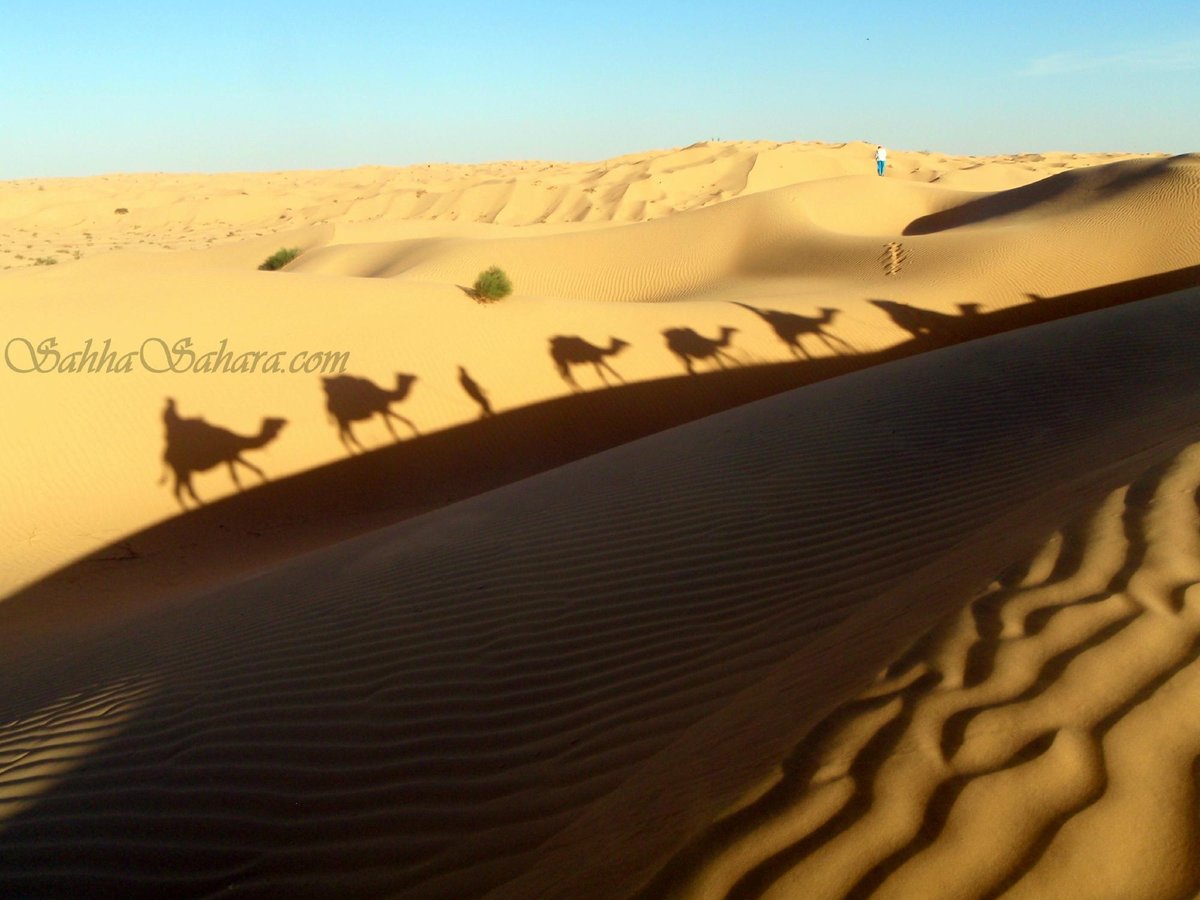 Sahha Sahara, Дуз: лучшие советы перед посещением - Tripadvisor